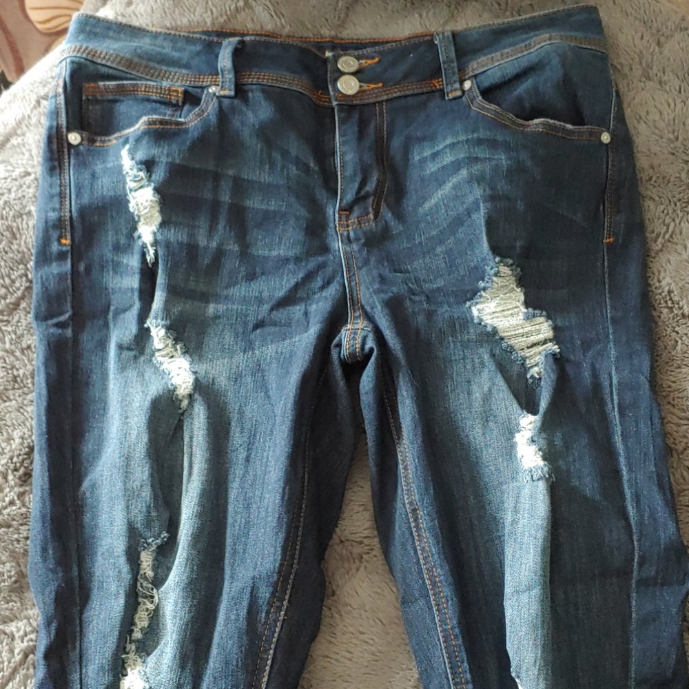 Indigo Rein Ankle Jeans